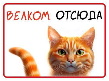 Табличка с котом